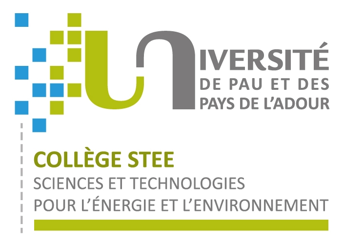 Logo STEE